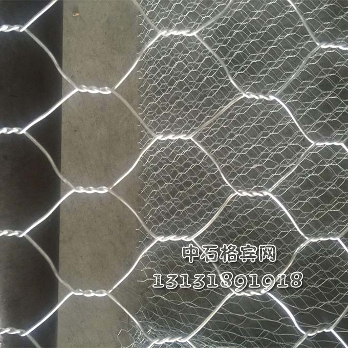 鍍鋅賓格網(wǎng)廠家報(bào)價(jià)13131891918 鍍鋅賓格網(wǎng)廠家報(bào)價(jià)13131891918
