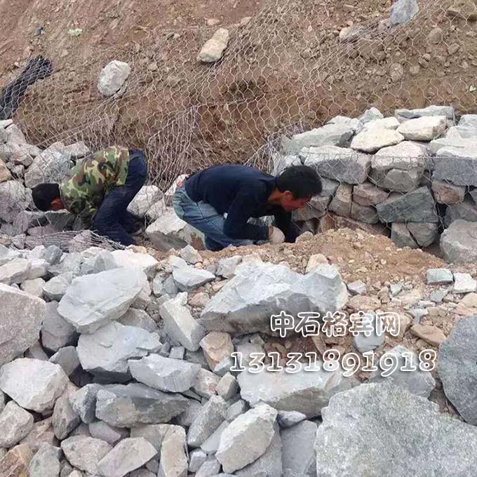 賓格網13131891918 賓格網13131891918